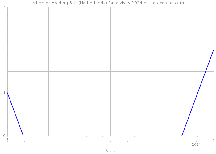 Mi Amor Holding B.V. (Netherlands) Page visits 2024 