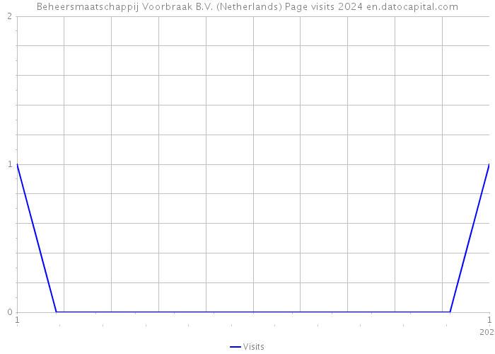 Beheersmaatschappij Voorbraak B.V. (Netherlands) Page visits 2024 