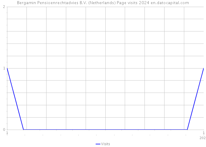 Bergamin Pensioenrechtadvies B.V. (Netherlands) Page visits 2024 