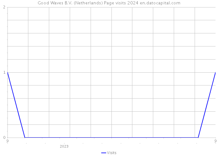 Good Waves B.V. (Netherlands) Page visits 2024 