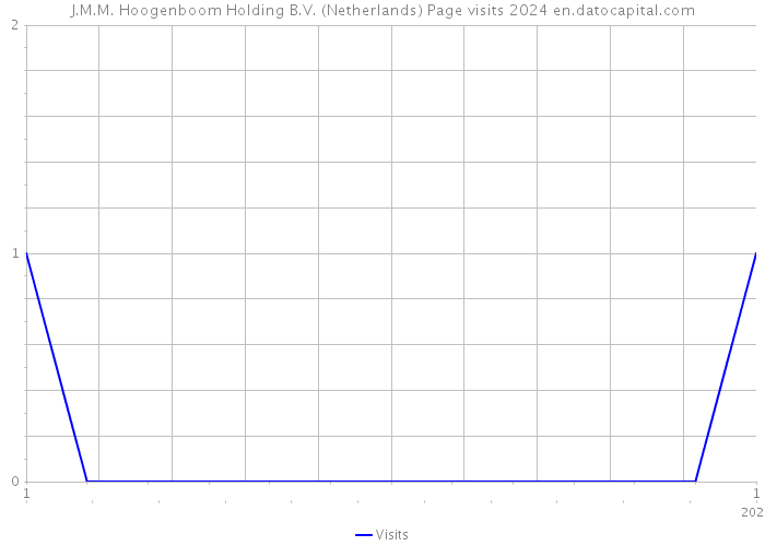 J.M.M. Hoogenboom Holding B.V. (Netherlands) Page visits 2024 