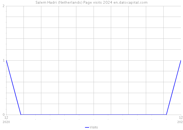 Salem Hadri (Netherlands) Page visits 2024 