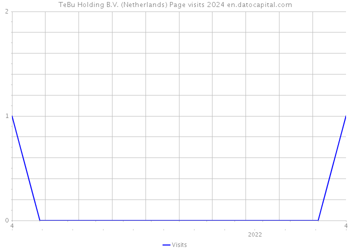 TeBu Holding B.V. (Netherlands) Page visits 2024 