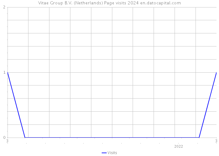 Vitae Group B.V. (Netherlands) Page visits 2024 