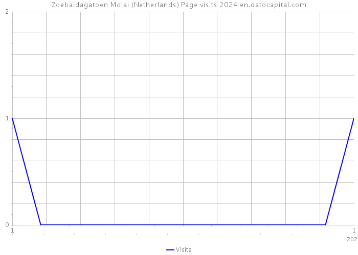 Zoebaidagatoen Molai (Netherlands) Page visits 2024 