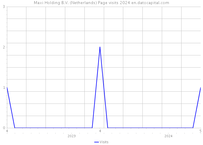 Maxi Holding B.V. (Netherlands) Page visits 2024 