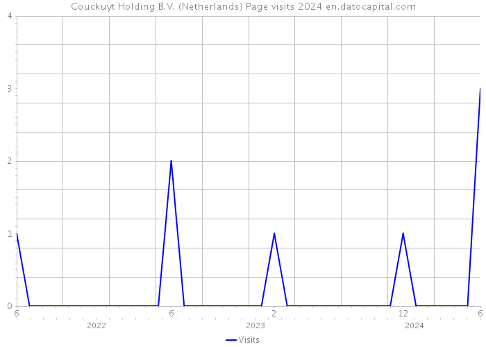 Couckuyt Holding B.V. (Netherlands) Page visits 2024 