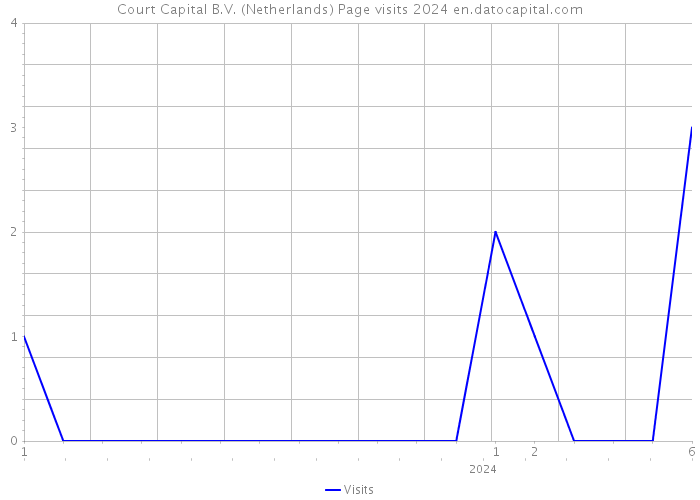Court Capital B.V. (Netherlands) Page visits 2024 