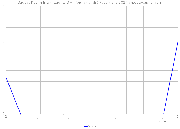Budget Kozijn International B.V. (Netherlands) Page visits 2024 