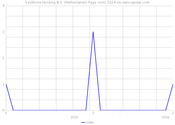 KeyStone Holding B.V. (Netherlands) Page visits 2024 