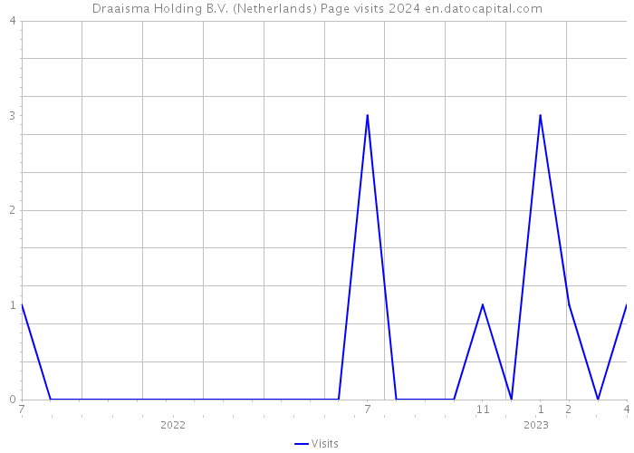 Draaisma Holding B.V. (Netherlands) Page visits 2024 