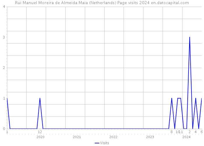 Rui Manuel Moreira de Almeida Maia (Netherlands) Page visits 2024 