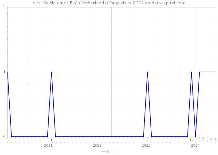 Alta Via Holdings B.V. (Netherlands) Page visits 2024 