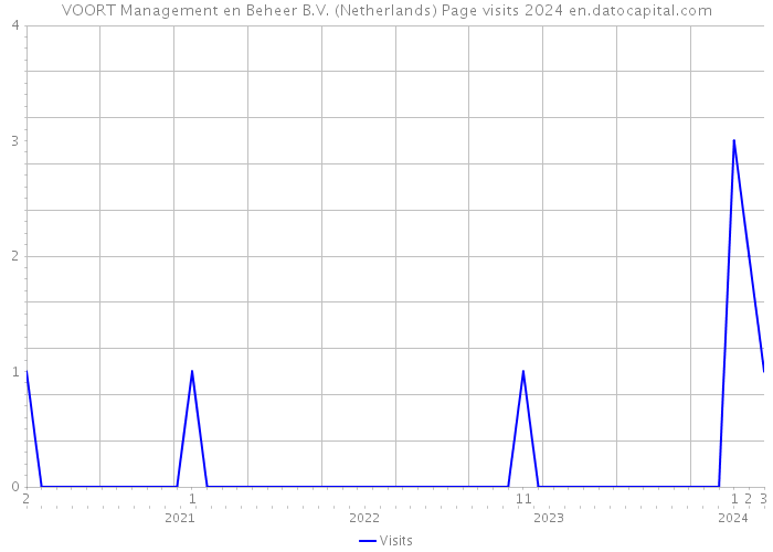 VOORT Management en Beheer B.V. (Netherlands) Page visits 2024 