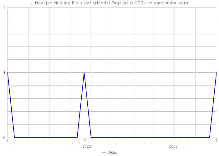 J. Hoekjan Holding B.V. (Netherlands) Page visits 2024 