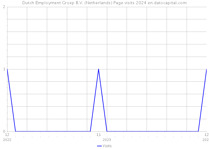 Dutch Employment Groep B.V. (Netherlands) Page visits 2024 