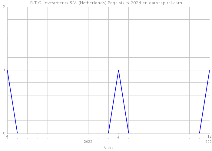 R.T.G. Investments B.V. (Netherlands) Page visits 2024 