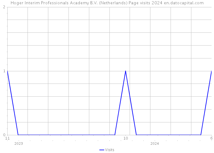 Hoger Interim Professionals Academy B.V. (Netherlands) Page visits 2024 