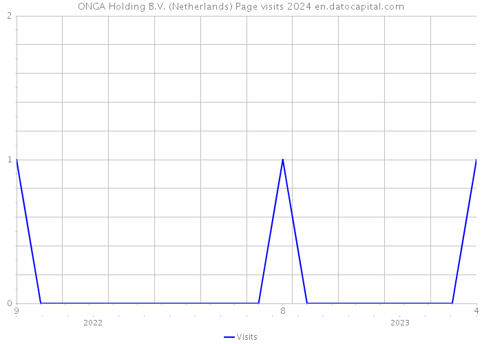 ONGA Holding B.V. (Netherlands) Page visits 2024 