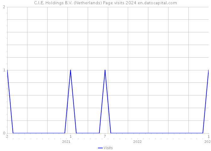 C.I.E. Holdings B.V. (Netherlands) Page visits 2024 