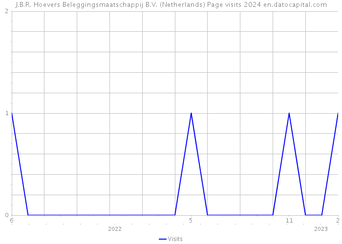 J.B.R. Hoevers Beleggingsmaatschappij B.V. (Netherlands) Page visits 2024 