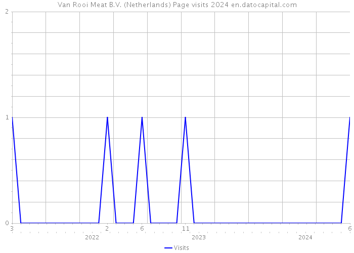 Van Rooi Meat B.V. (Netherlands) Page visits 2024 