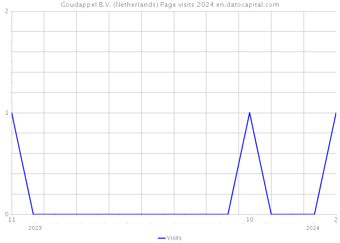 Goudappel B.V. (Netherlands) Page visits 2024 