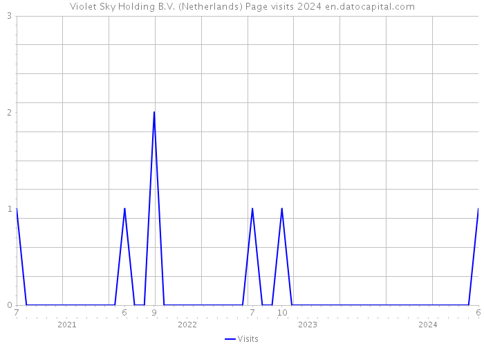 Violet Sky Holding B.V. (Netherlands) Page visits 2024 