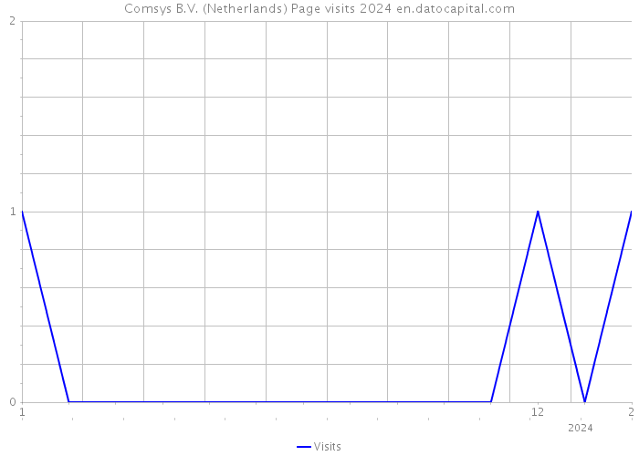 Comsys B.V. (Netherlands) Page visits 2024 