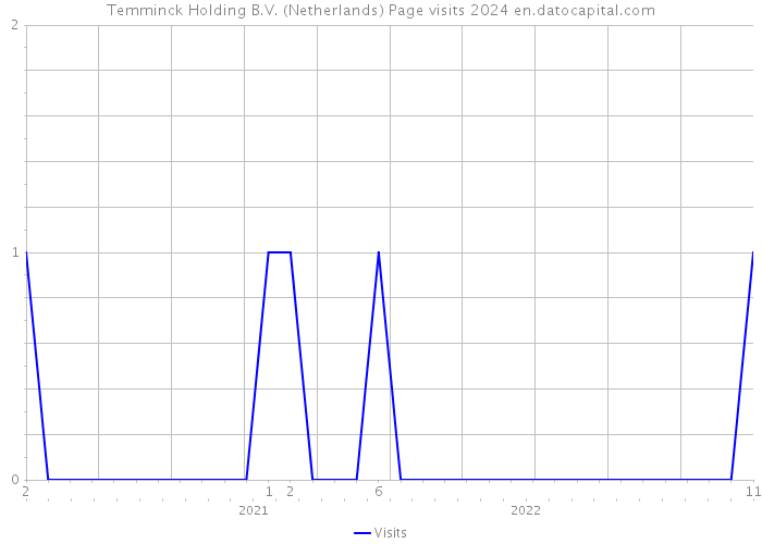 Temminck Holding B.V. (Netherlands) Page visits 2024 