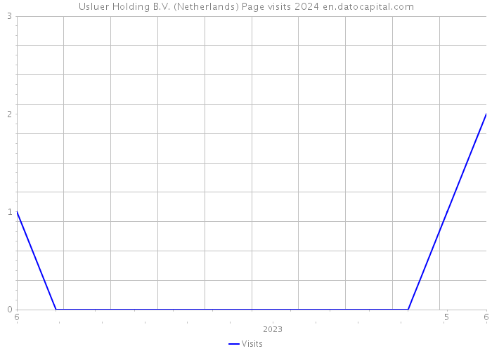 Usluer Holding B.V. (Netherlands) Page visits 2024 