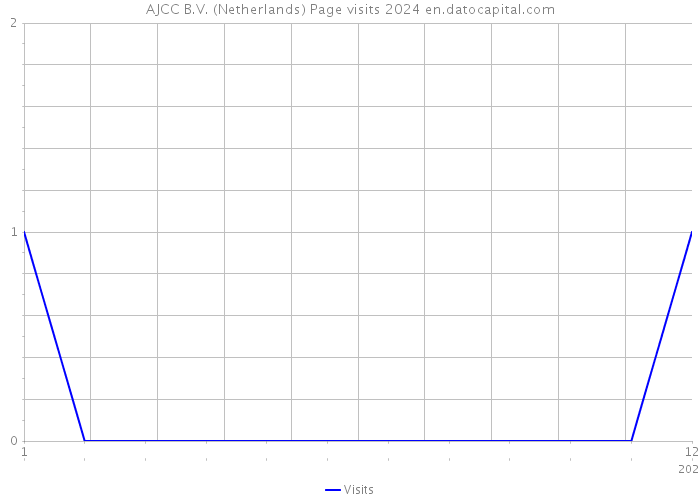 AJCC B.V. (Netherlands) Page visits 2024 