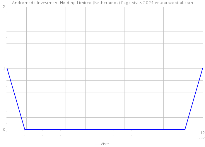 Andromeda Investment Holding Limited (Netherlands) Page visits 2024 