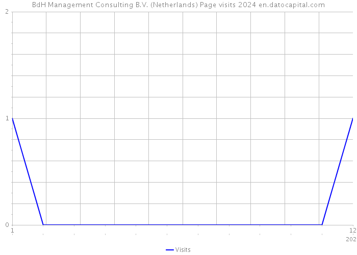 BdH Management Consulting B.V. (Netherlands) Page visits 2024 