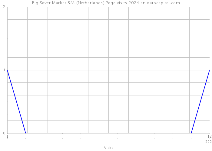 Big Saver Market B.V. (Netherlands) Page visits 2024 