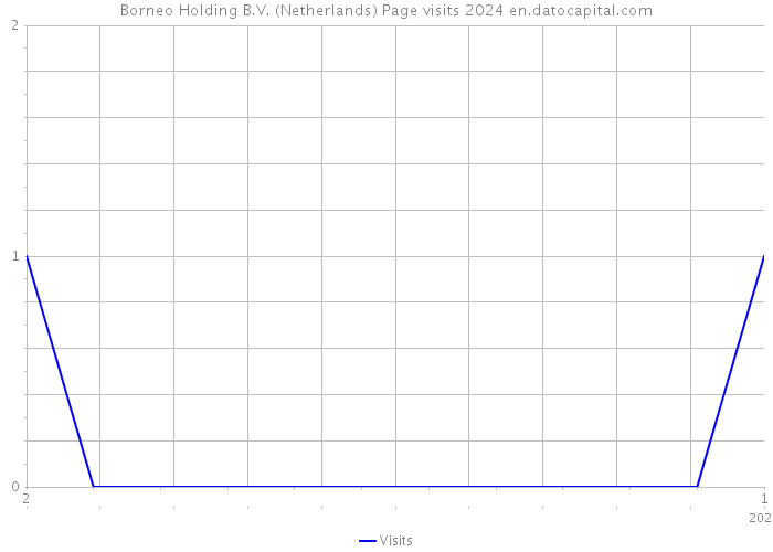 Borneo Holding B.V. (Netherlands) Page visits 2024 