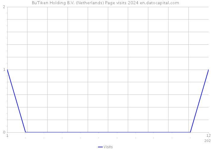BuTiken Holding B.V. (Netherlands) Page visits 2024 