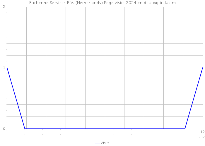 Burhenne Services B.V. (Netherlands) Page visits 2024 