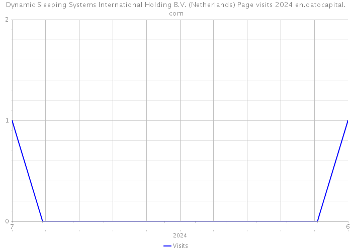 Dynamic Sleeping Systems International Holding B.V. (Netherlands) Page visits 2024 