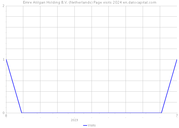 Emre Atilgan Holding B.V. (Netherlands) Page visits 2024 
