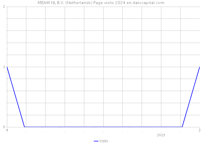MEAM NL B.V. (Netherlands) Page visits 2024 