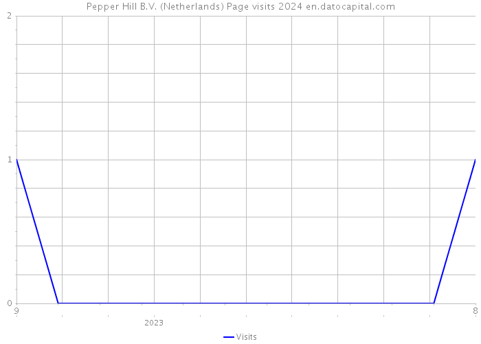 Pepper Hill B.V. (Netherlands) Page visits 2024 