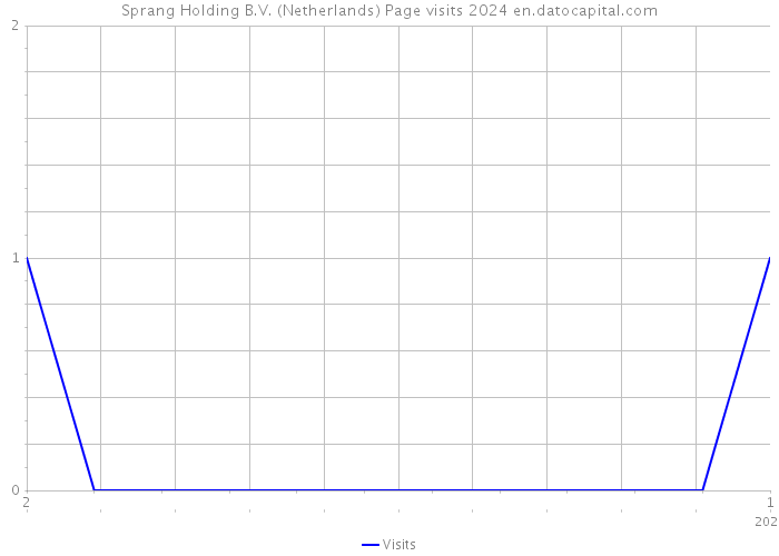 Sprang Holding B.V. (Netherlands) Page visits 2024 