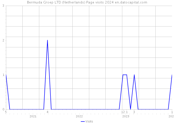 Bermuda Groep LTD (Netherlands) Page visits 2024 