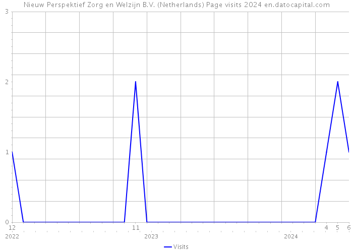 Nieuw Perspektief Zorg en Welzijn B.V. (Netherlands) Page visits 2024 