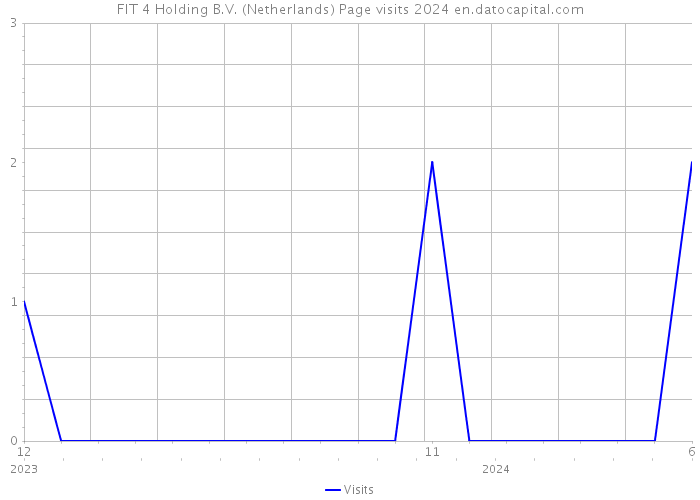 FIT 4 Holding B.V. (Netherlands) Page visits 2024 