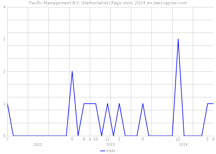 Pacific Management B.V. (Netherlands) Page visits 2024 