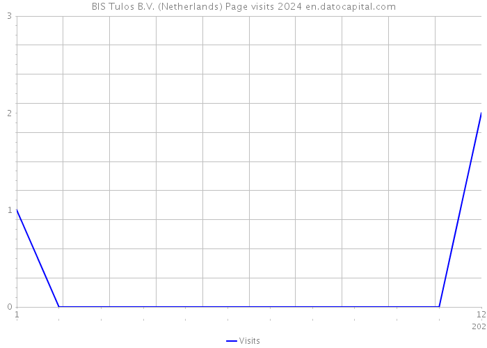 BIS Tulos B.V. (Netherlands) Page visits 2024 
