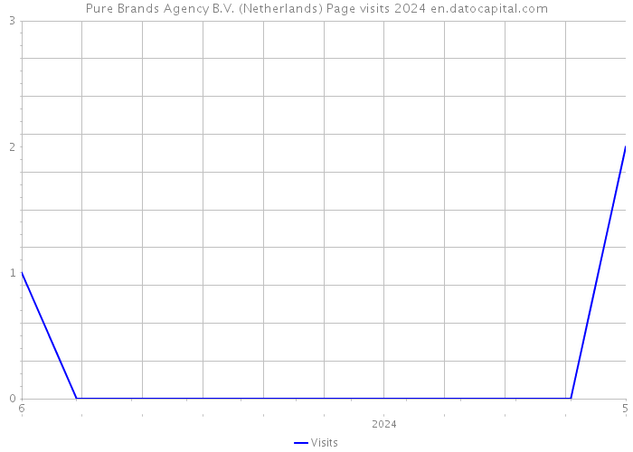 Pure Brands Agency B.V. (Netherlands) Page visits 2024 