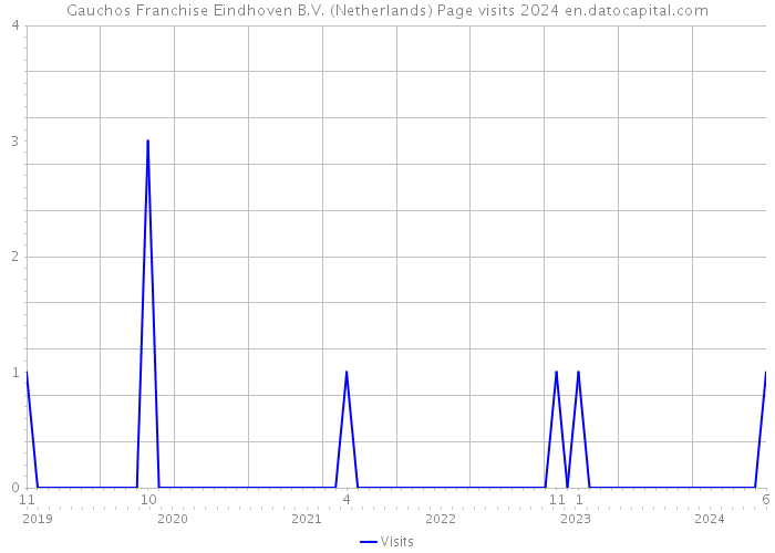 Gauchos Franchise Eindhoven B.V. (Netherlands) Page visits 2024 